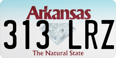 AR license plate 313LRZ