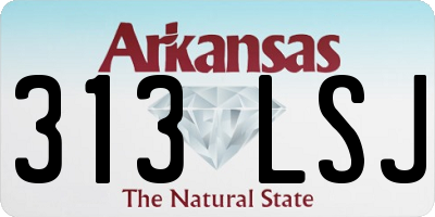 AR license plate 313LSJ