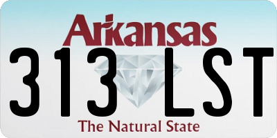 AR license plate 313LST