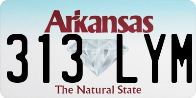 AR license plate 313LYM