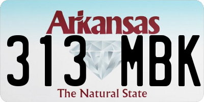 AR license plate 313MBK