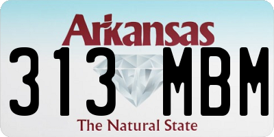 AR license plate 313MBM