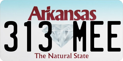AR license plate 313MEE