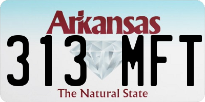 AR license plate 313MFT