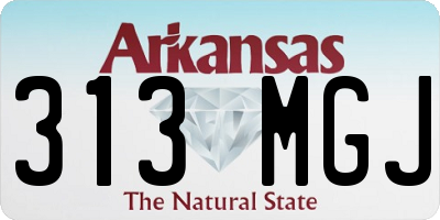 AR license plate 313MGJ