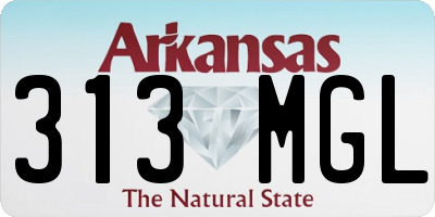AR license plate 313MGL
