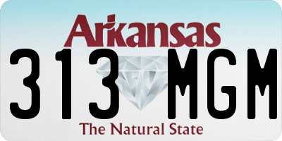 AR license plate 313MGM