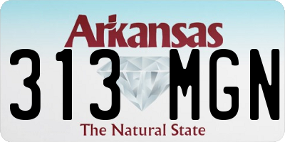 AR license plate 313MGN