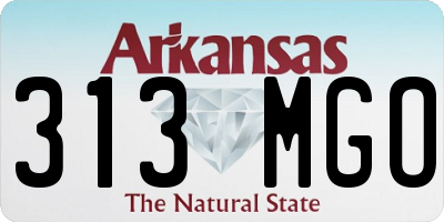 AR license plate 313MGO