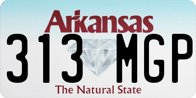 AR license plate 313MGP