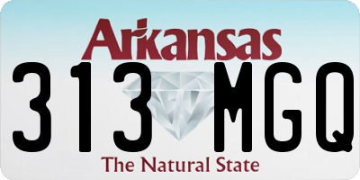 AR license plate 313MGQ