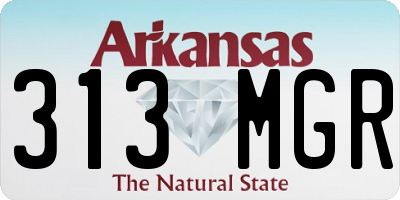 AR license plate 313MGR