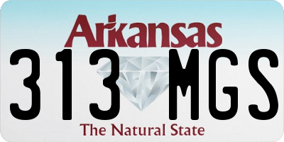 AR license plate 313MGS
