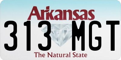 AR license plate 313MGT