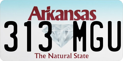 AR license plate 313MGU
