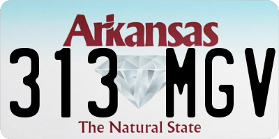 AR license plate 313MGV