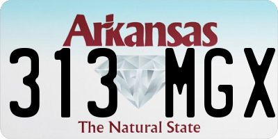 AR license plate 313MGX