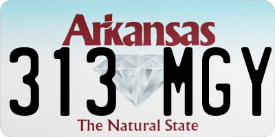 AR license plate 313MGY