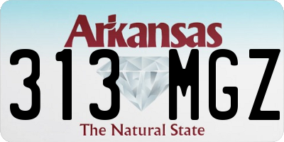 AR license plate 313MGZ