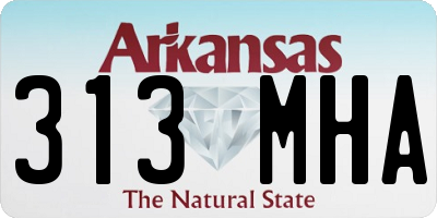 AR license plate 313MHA