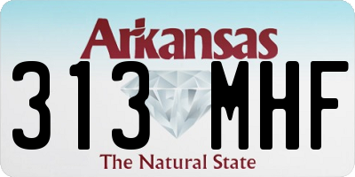 AR license plate 313MHF