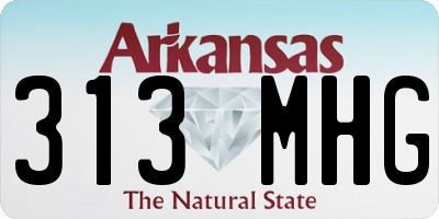 AR license plate 313MHG