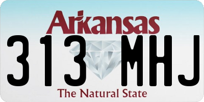 AR license plate 313MHJ