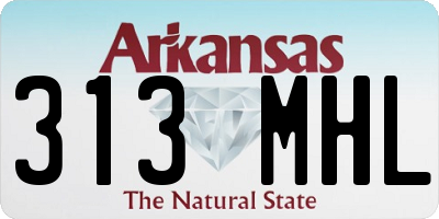 AR license plate 313MHL