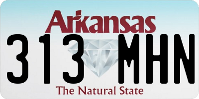 AR license plate 313MHN