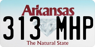 AR license plate 313MHP