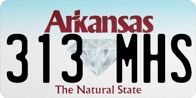 AR license plate 313MHS