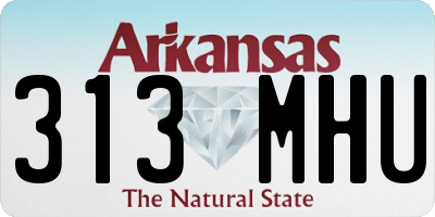 AR license plate 313MHU
