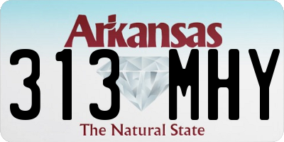 AR license plate 313MHY
