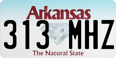 AR license plate 313MHZ