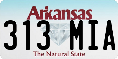AR license plate 313MIA