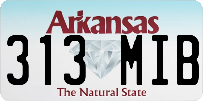 AR license plate 313MIB