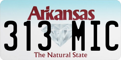 AR license plate 313MIC