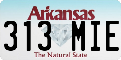 AR license plate 313MIE