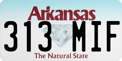 AR license plate 313MIF