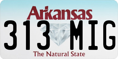 AR license plate 313MIG
