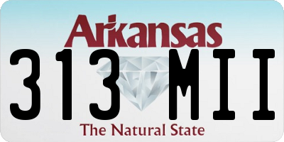 AR license plate 313MII