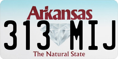 AR license plate 313MIJ