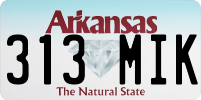 AR license plate 313MIK