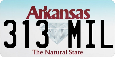 AR license plate 313MIL