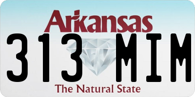AR license plate 313MIM