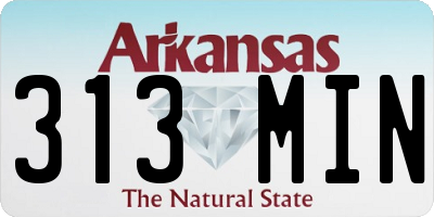 AR license plate 313MIN