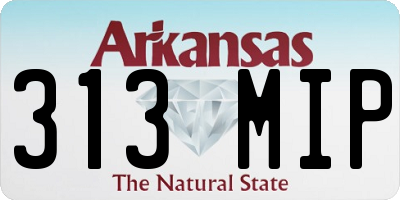 AR license plate 313MIP