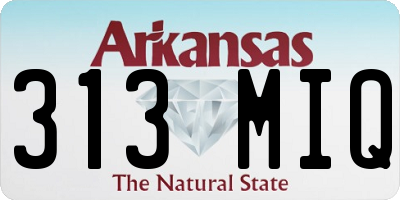 AR license plate 313MIQ