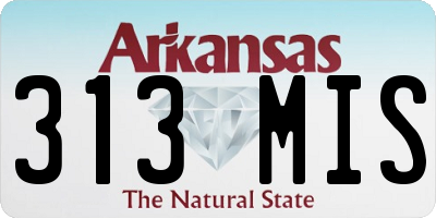 AR license plate 313MIS