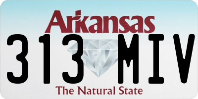 AR license plate 313MIV